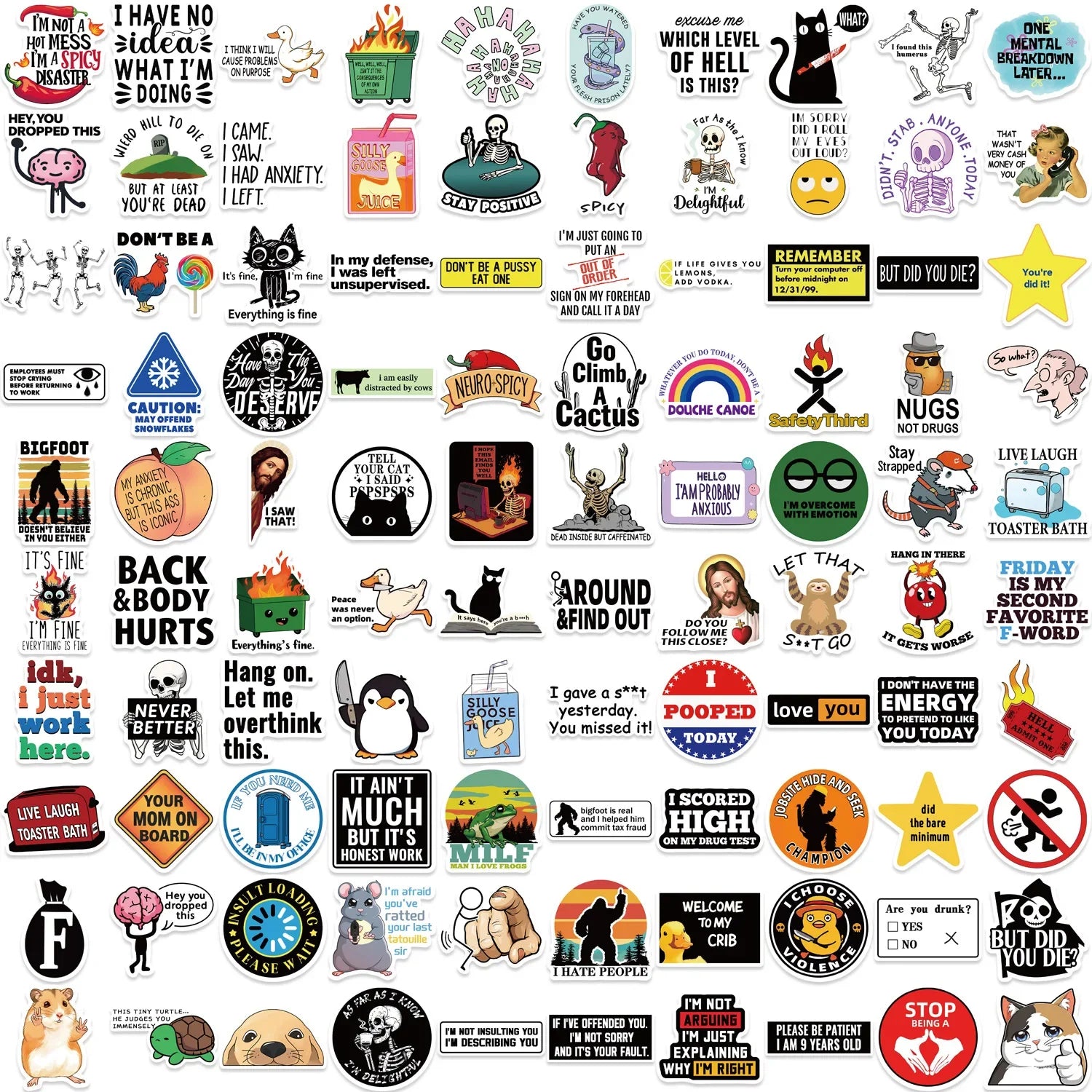 50/100Pcs Funny Stickers for Adults  Meme Water Bottles Stickers Pack Waterproof  Stickers for Laptop Hard Hats Sarcastic Decals