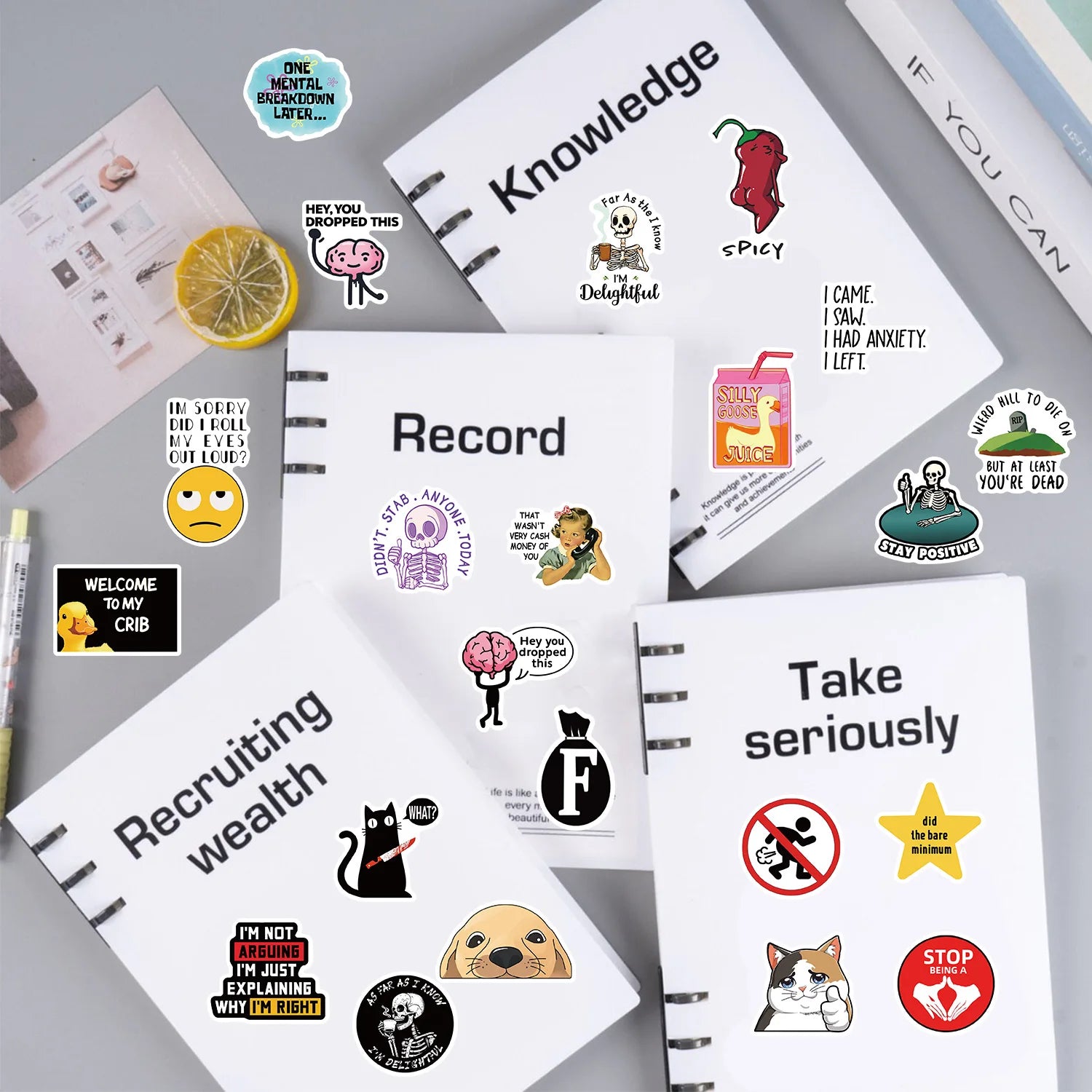50/100Pcs Funny Stickers for Adults  Meme Water Bottles Stickers Pack Waterproof  Stickers for Laptop Hard Hats Sarcastic Decals