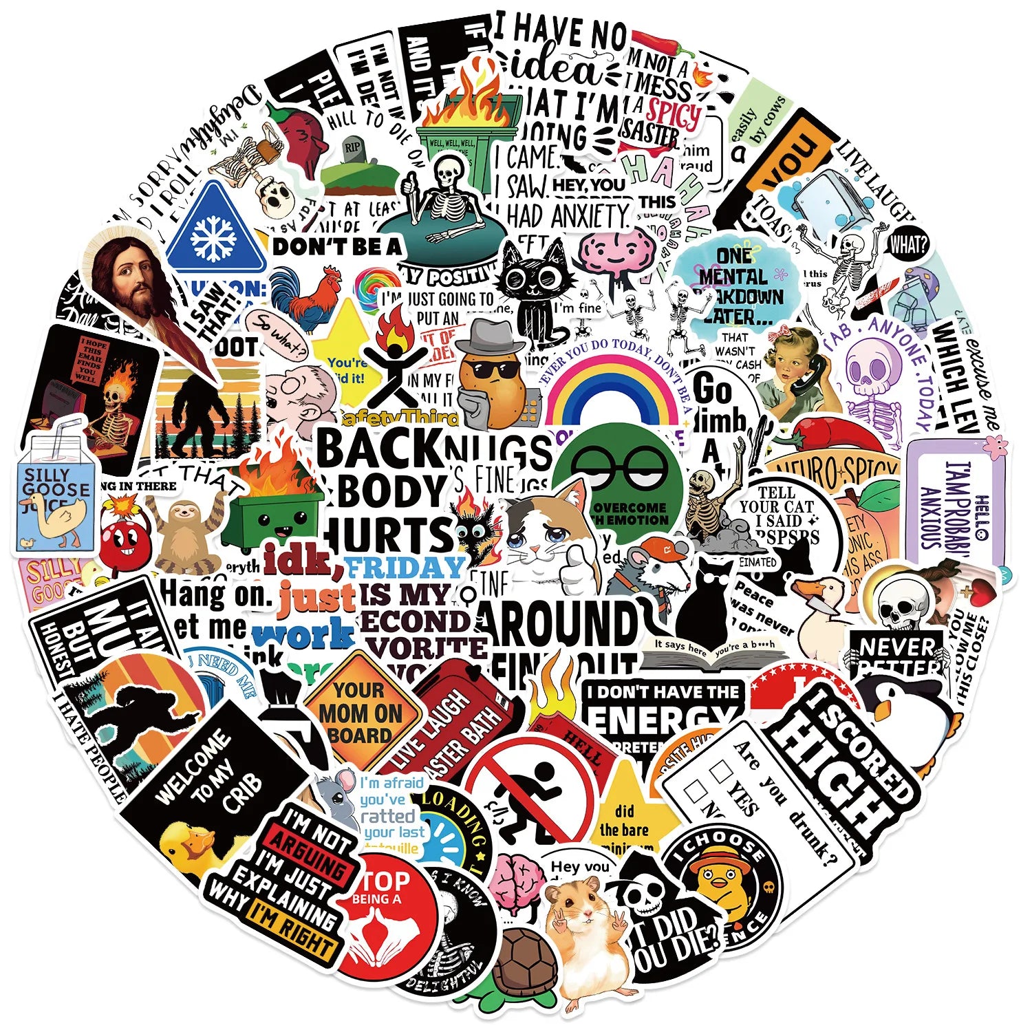 50/100Pcs Funny Stickers for Adults  Meme Water Bottles Stickers Pack Waterproof  Stickers for Laptop Hard Hats Sarcastic Decals