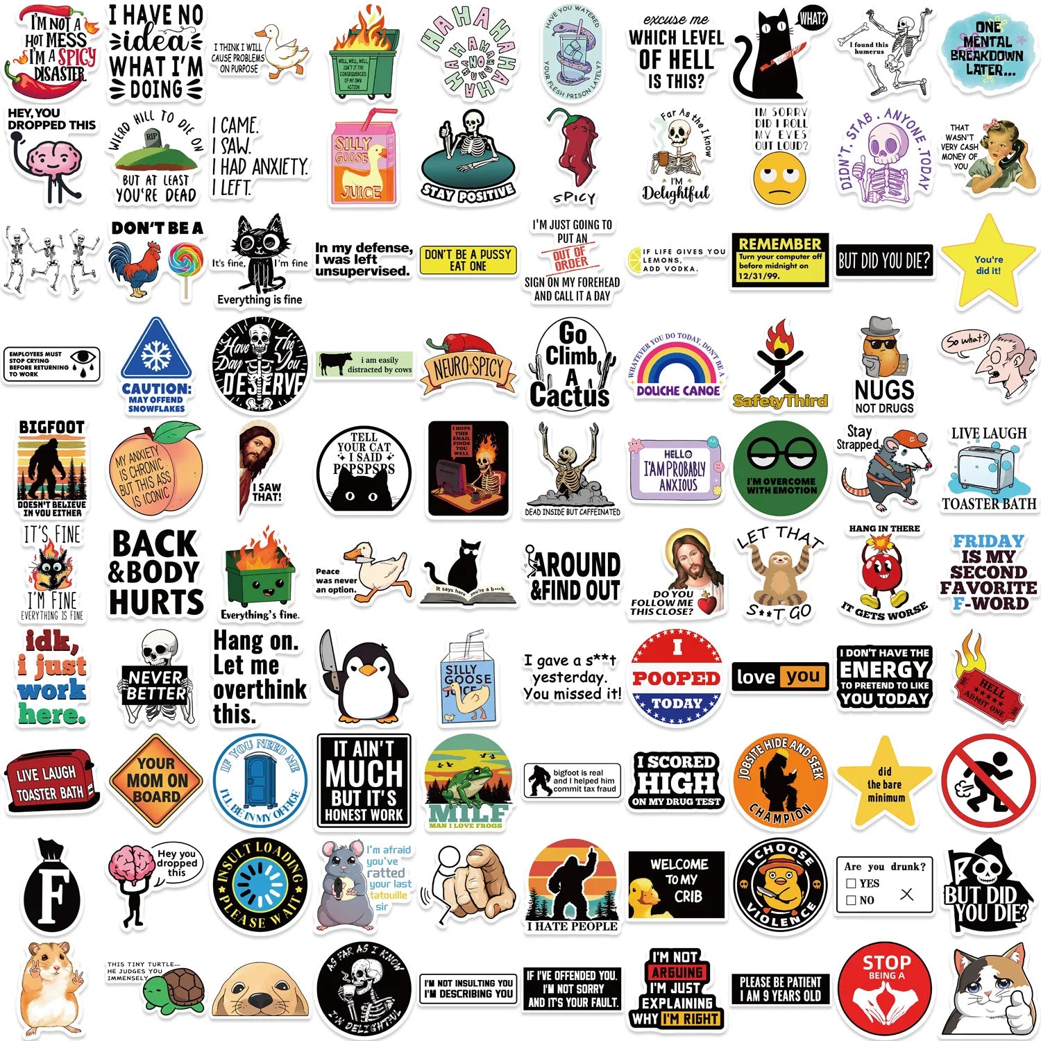 50/100Pcs Funny Stickers for Adults  Meme Water Bottles Stickers Pack Waterproof  Stickers for Laptop Hard Hats Sarcastic Decals